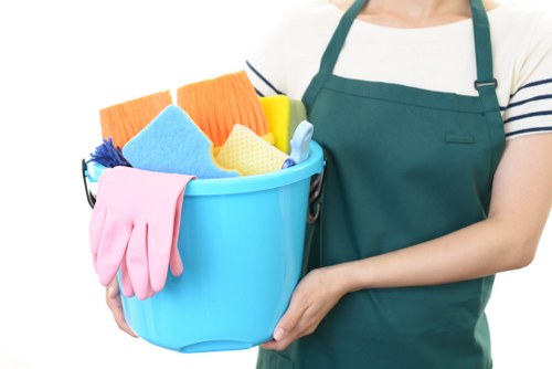 Professional sofa cleaning service in Elephant and Castle for modern homes