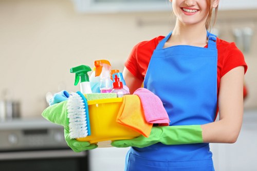 Professional Elephant and Castle cleaning service working in an office environment