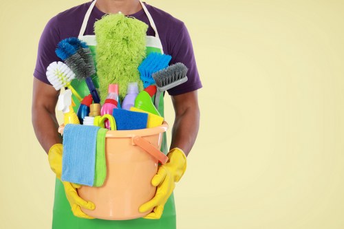Stain removal service for carpets and upholstery in Elephantandcastle