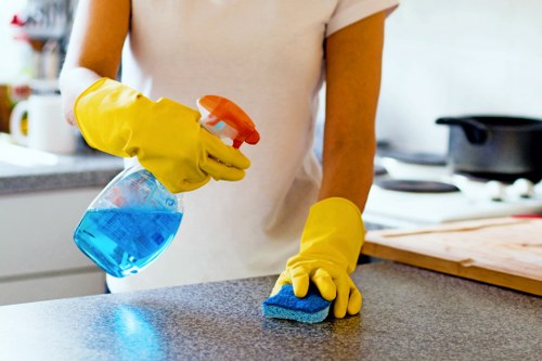 Elephantandcastle Cleaner team following a safe cleaning procedure in a property