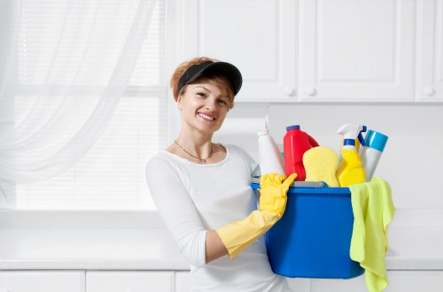 Professional pet stain and odour removal for carpets in Elephant and Castle