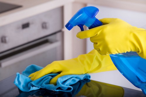Accessible cleaning services in Elephant and Castle with inclusive website support