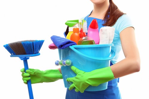 Cleaner carrying out a professional property clean