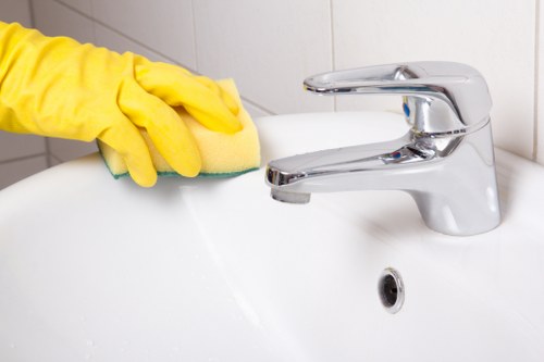 Dependable recurring cleaning service for homes and businesses in Elephant and Castle