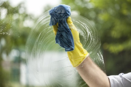 Professional spot cleaning and stain removal in Elephantandcastle