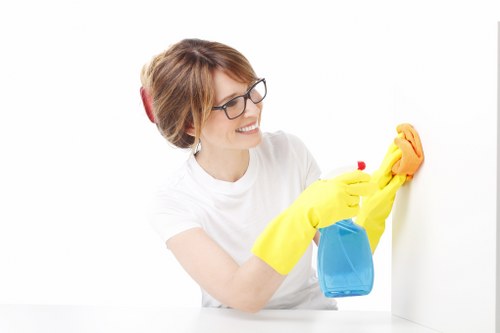 Protected payment options for Elephantandcastle Cleaner