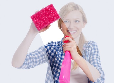 Professional rug inspection and stain treatment process