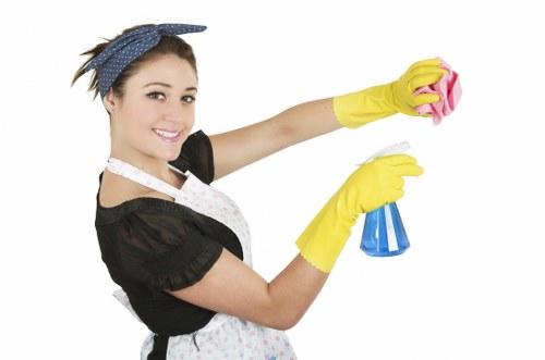 Local gutter cleaning service for flats and mixed-use buildings