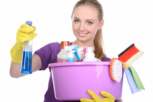 Professional carpet steam cleaning equipment in a local flat