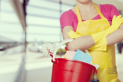 Deep carpet cleaning service for local residential and commercial properties