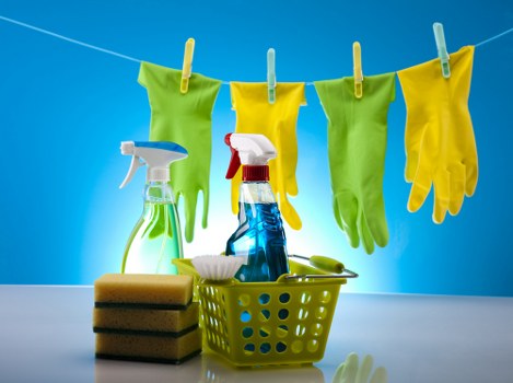 Upholstery and rug stain removal service in Elephantandcastle