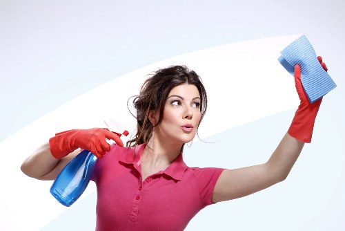 Local cleaning treatment for stubborn pet smells in a South London flat
